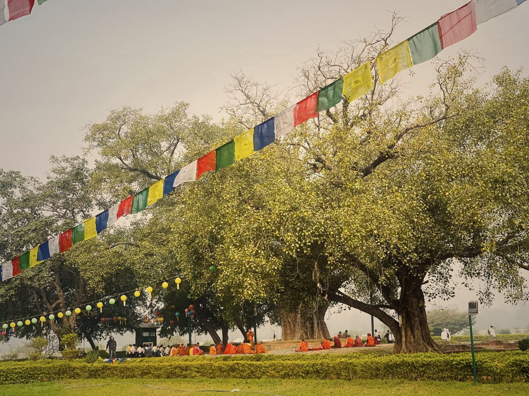Cờ lungta giữa vườn Lumbini